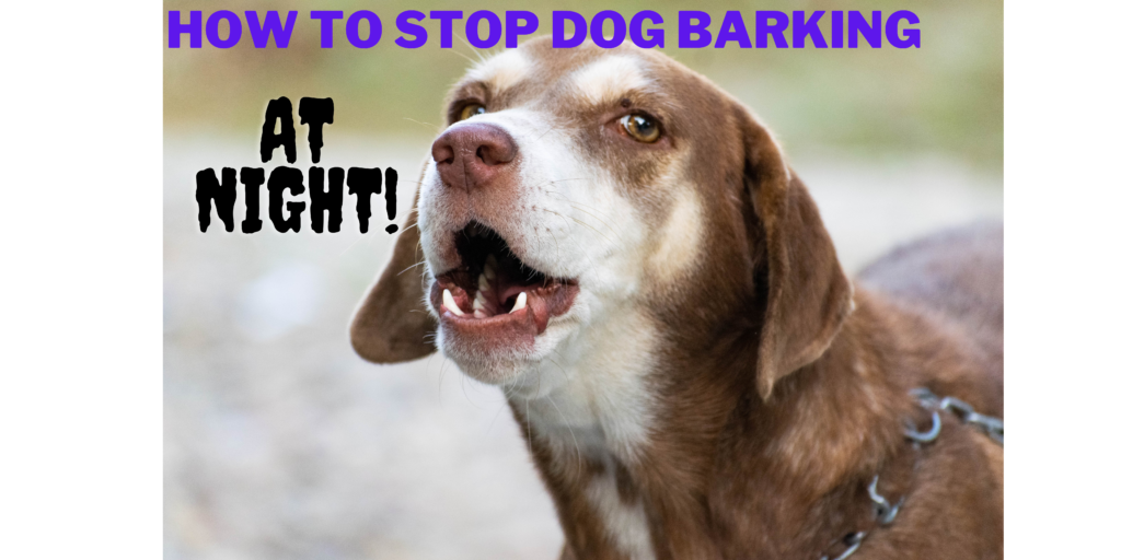 How To Stop Dog Barking At Night